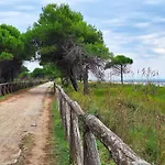 Enjoy Your Escape By The Pool Daire Bibione